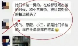 中石油妻子爆料视频最新,揭露行业黑幕与家庭悲剧