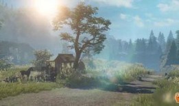 逆水寒新内容爆料大全最新