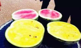 一月大瓜最新爆料,揭秘明星幕后真相，震惊业界！