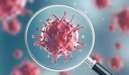 英国爆料病毒事件最新,揭秘疫情背后的真相与争议